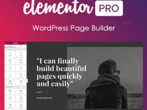 Elementor-PRO-WordPress-Page-Builder